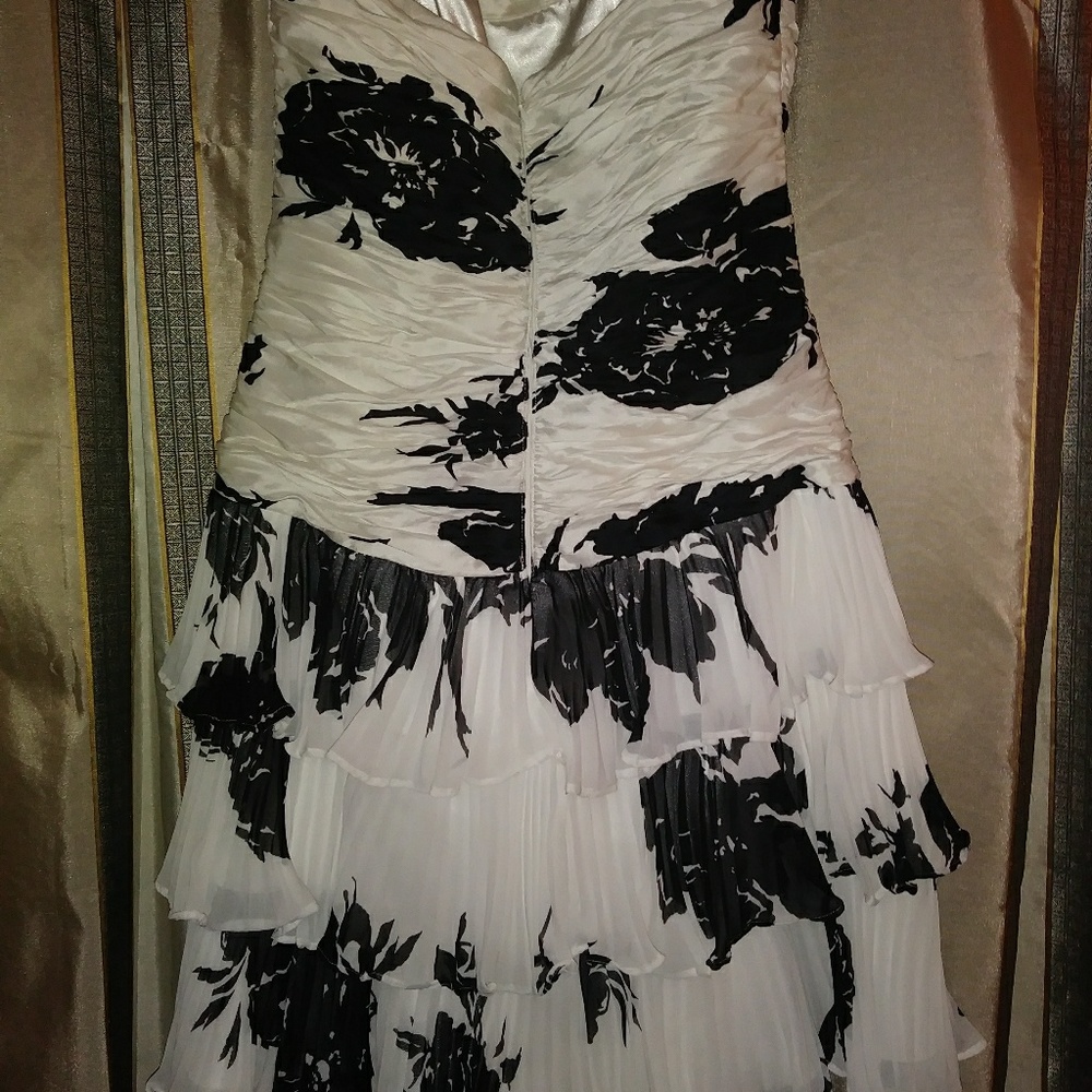 BEAUTIFUL Party/homecoming/prom dress